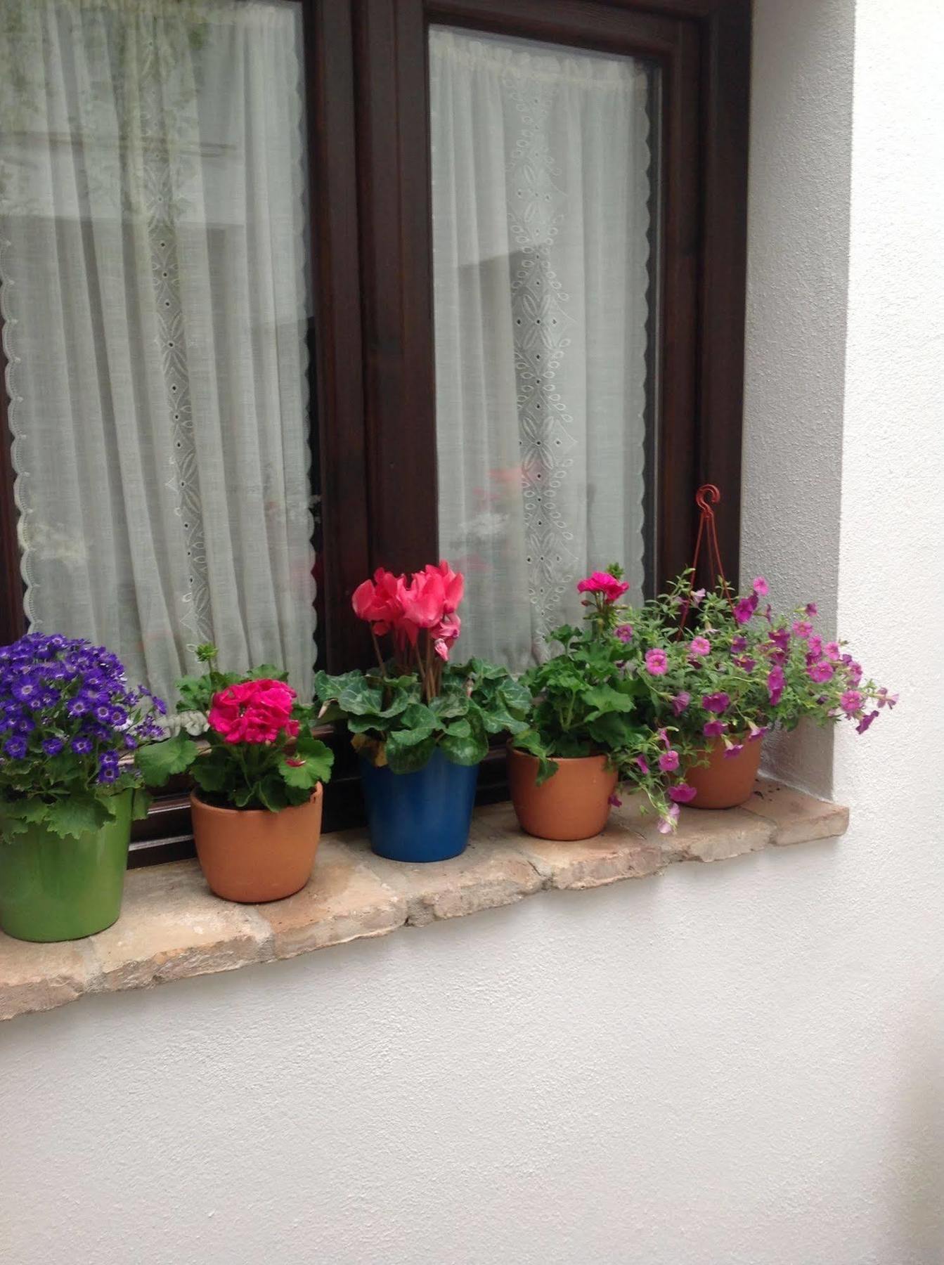Boutique Alma Andalusi